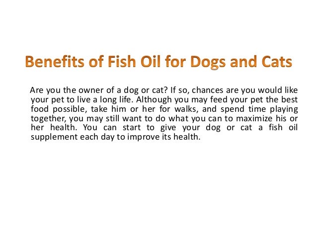 benefits of fish for dogs what should diabetics eat fish benefits for dogs best style for apple shaped benefits of fish for dogs what should diabetics eat fish benefits for dogs best style for apple shaped